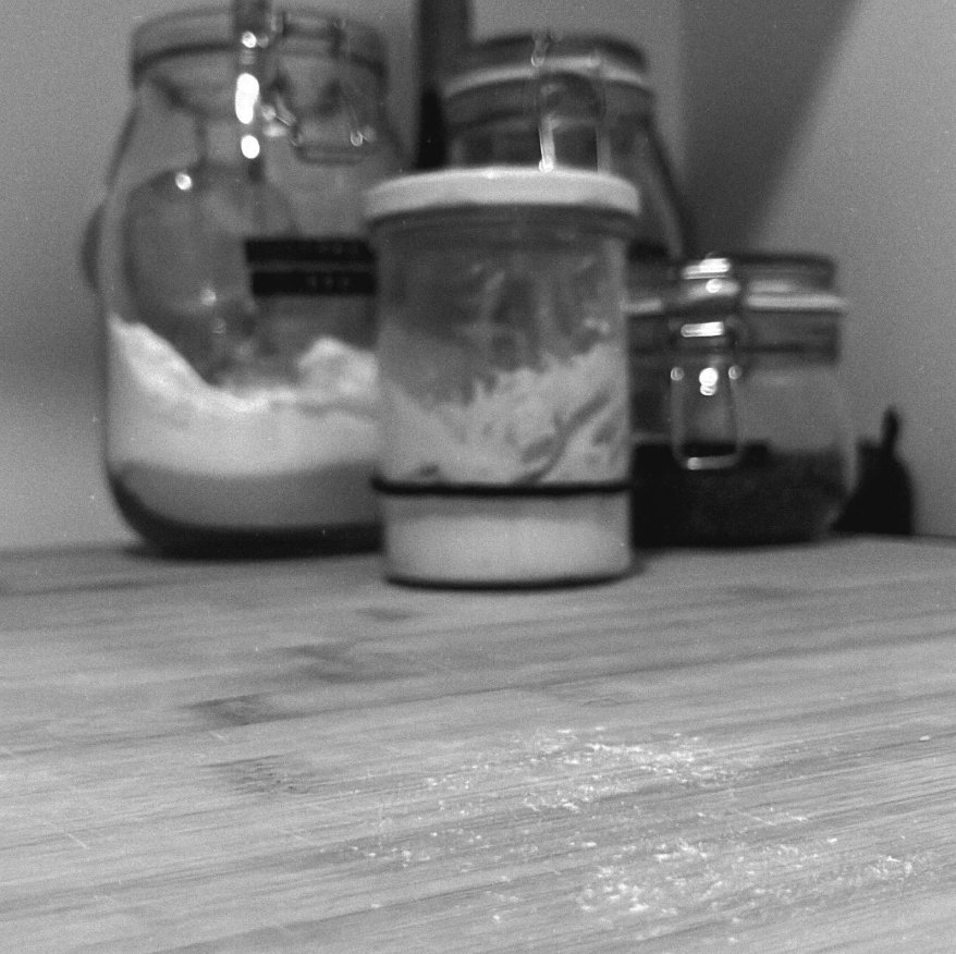 The Art of Wild Sourdough Baking